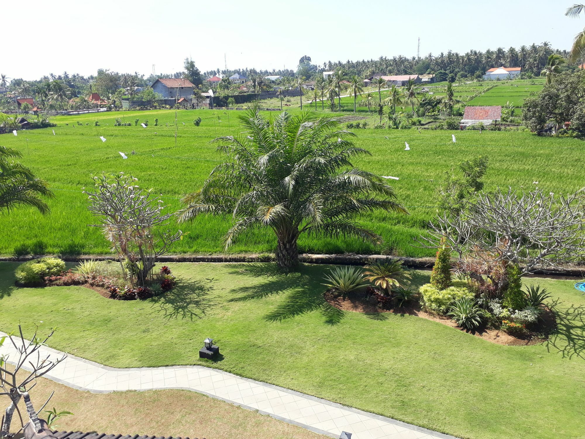 Lovina Pandawa Village מראה חיצוני תמונה